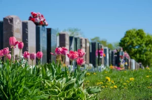 Fleurissement régulier de sépulture et dépôt de compositions florales sur tombes